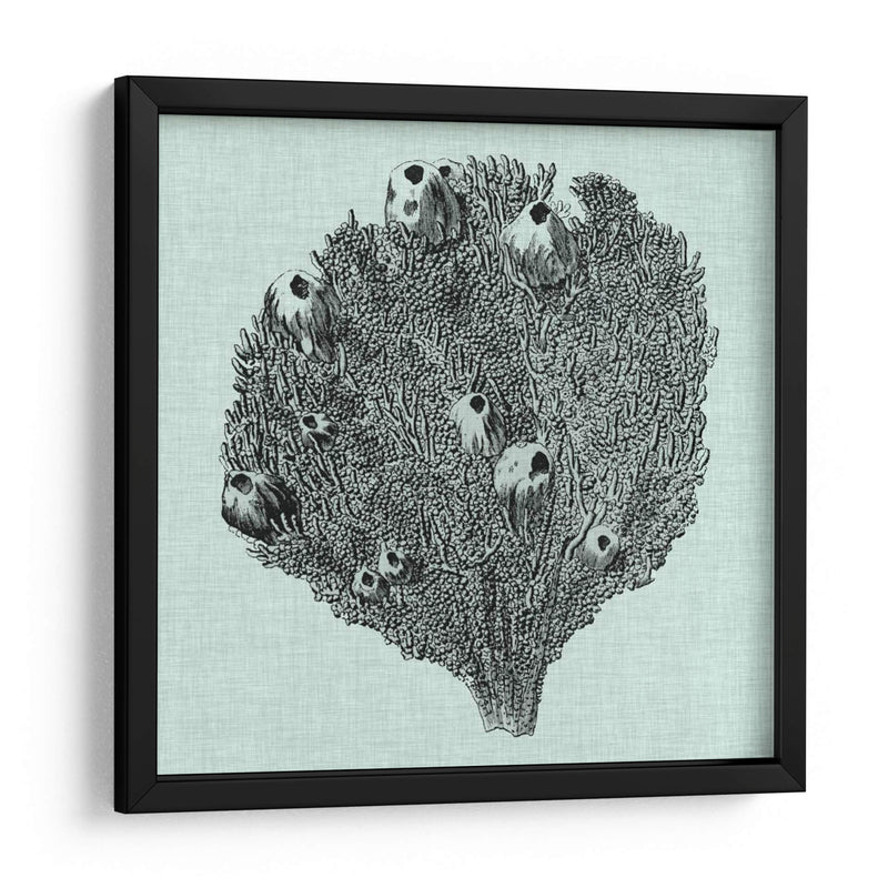 Sereno Coral Iv - Vision Studio | Cuadro decorativo de Canvas Lab