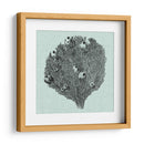 Sereno Coral Iv - Vision Studio | Cuadro decorativo de Canvas Lab