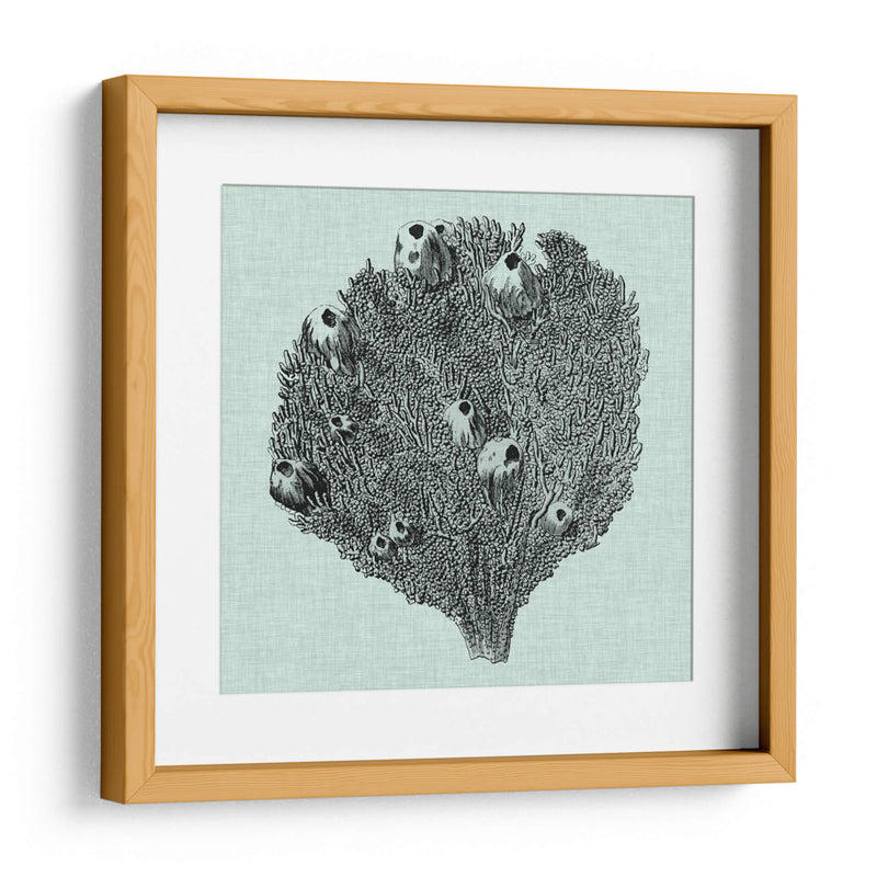 Sereno Coral Iv - Vision Studio | Cuadro decorativo de Canvas Lab