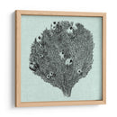 Sereno Coral Iv - Vision Studio | Cuadro decorativo de Canvas Lab