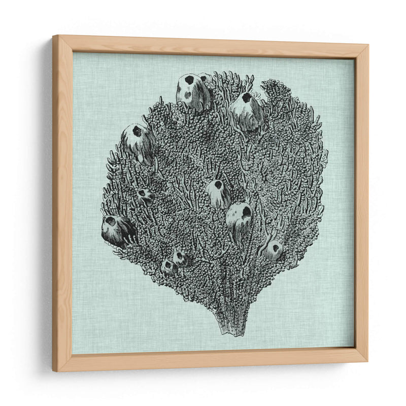 Sereno Coral Iv - Vision Studio | Cuadro decorativo de Canvas Lab