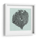 Sereno Coral Iv - Vision Studio | Cuadro decorativo de Canvas Lab
