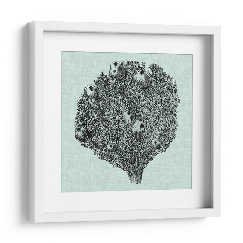 Sereno Coral Iv - Vision Studio | Cuadro decorativo de Canvas Lab