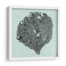 Sereno Coral Iv - Vision Studio | Cuadro decorativo de Canvas Lab