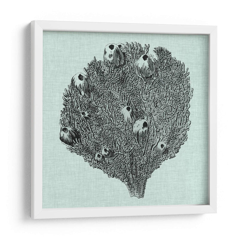 Sereno Coral Iv - Vision Studio | Cuadro decorativo de Canvas Lab