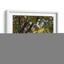 Pradera Tranquila - Erin Dertner | Cuadro decorativo de Canvas Lab