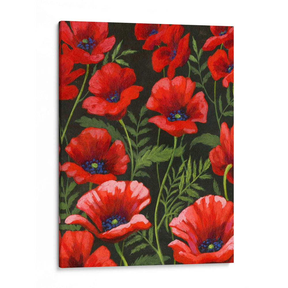 Amapolas A La Medianoche I - Grace Popp | Cuadro decorativo de Canvas Lab