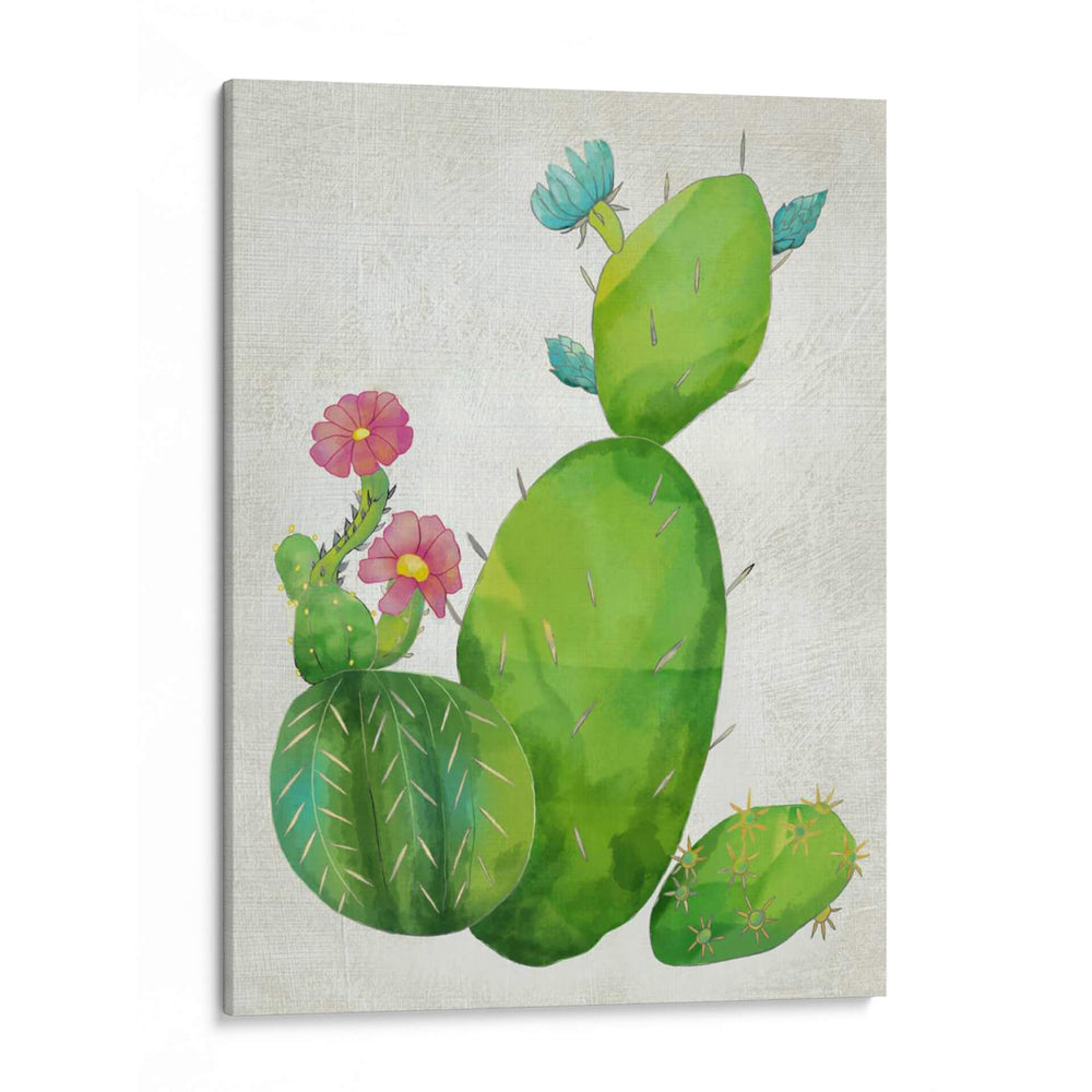 Cactti Colección I - Chariklia Zarris | Cuadro decorativo de Canvas Lab