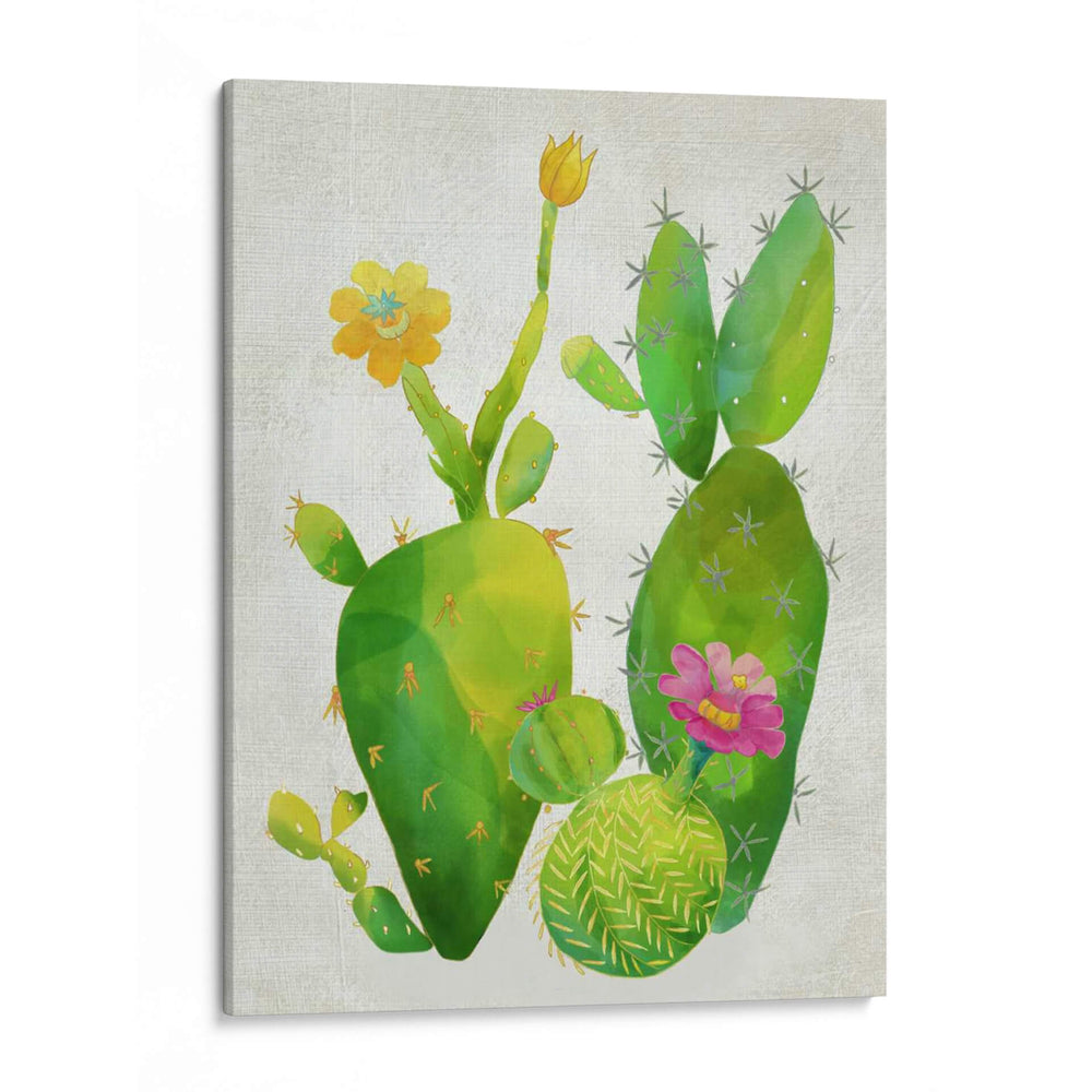Cactti Colección Ii - Chariklia Zarris | Cuadro decorativo de Canvas Lab