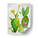 Cactti Colección Ii - Chariklia Zarris | Cuadro decorativo de Canvas Lab