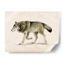 Wandering Iii - Grace Popp | Cuadro decorativo de Canvas Lab