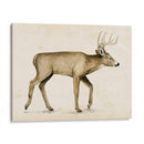 Wandering Iv - Grace Popp | Cuadro decorativo de Canvas Lab