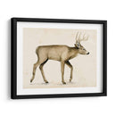 Wandering Iv - Grace Popp | Cuadro decorativo de Canvas Lab