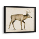 Wandering Iv - Grace Popp | Cuadro decorativo de Canvas Lab