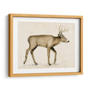 Wandering Iv - Grace Popp | Cuadro decorativo de Canvas Lab