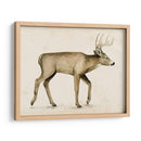Wandering Iv - Grace Popp | Cuadro decorativo de Canvas Lab