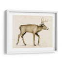 Wandering Iv - Grace Popp | Cuadro decorativo de Canvas Lab