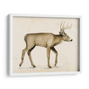 Wandering Iv - Grace Popp | Cuadro decorativo de Canvas Lab
