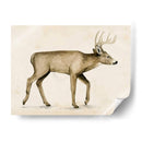 Wandering Iv - Grace Popp | Cuadro decorativo de Canvas Lab