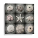 Bellezas Oscuras - Judy Stalus | Cuadro decorativo de Canvas Lab