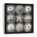 Bellezas Oscuras - Judy Stalus | Cuadro decorativo de Canvas Lab