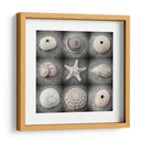 Bellezas Oscuras - Judy Stalus | Cuadro decorativo de Canvas Lab