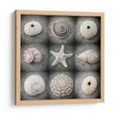 Bellezas Oscuras - Judy Stalus | Cuadro decorativo de Canvas Lab