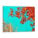 Tapiz De Otoño I - Judy Stalus | Cuadro decorativo de Canvas Lab