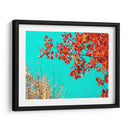 Tapiz De Otoño I - Judy Stalus | Cuadro decorativo de Canvas Lab