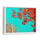 Tapiz De Otoño I - Judy Stalus | Cuadro decorativo de Canvas Lab