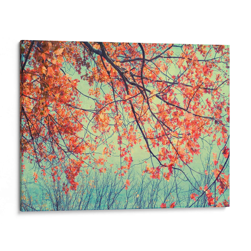 Tapicería De Otoño Ii - Judy Stalus | Cuadro decorativo de Canvas Lab