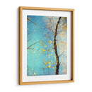 Tapicería De Otoño Iii - Judy Stalus | Cuadro decorativo de Canvas Lab