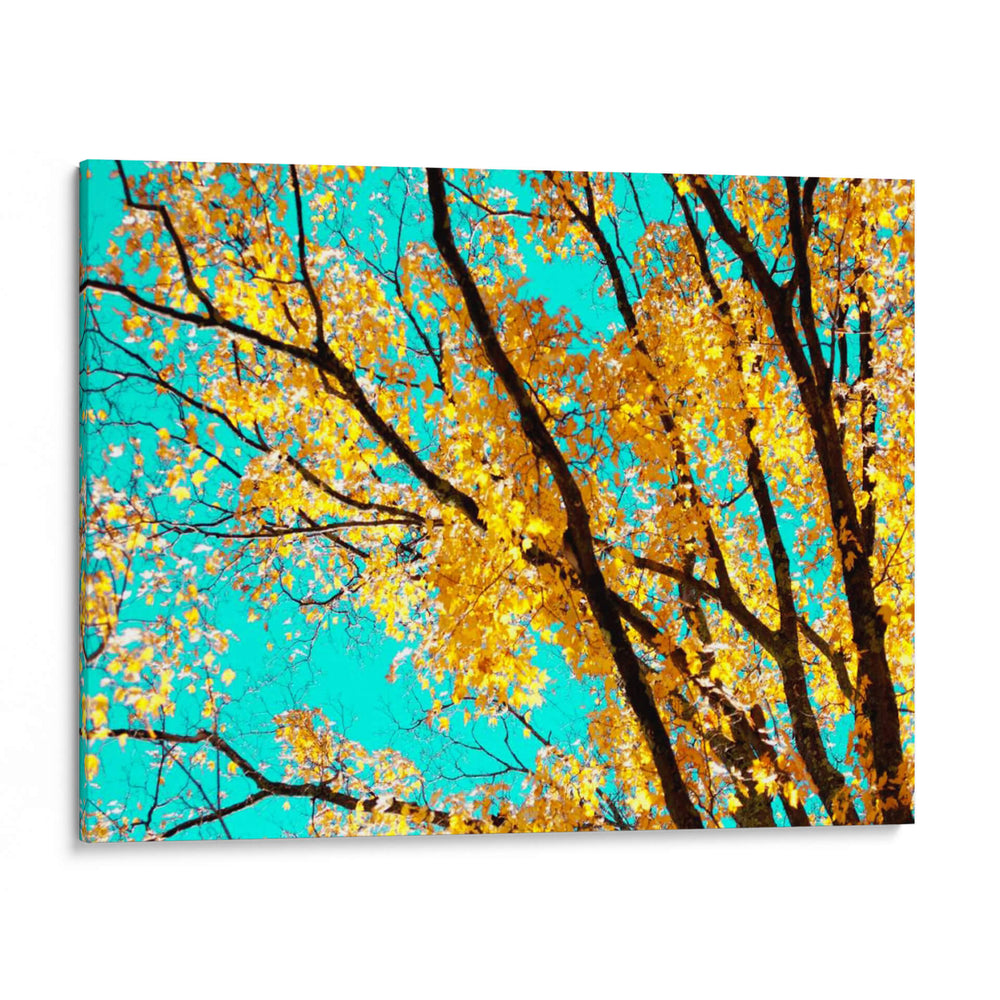 Tapiz De Otoño Iv - Judy Stalus | Cuadro decorativo de Canvas Lab