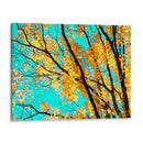 Tapiz De Otoño Iv - Judy Stalus | Cuadro decorativo de Canvas Lab