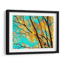 Tapiz De Otoño Iv - Judy Stalus | Cuadro decorativo de Canvas Lab