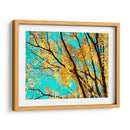 Tapiz De Otoño Iv - Judy Stalus | Cuadro decorativo de Canvas Lab