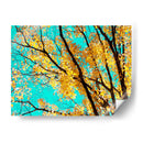 Tapiz De Otoño Iv - Judy Stalus | Cuadro decorativo de Canvas Lab