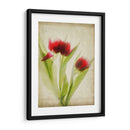 Flores De Pergamino I - Judy Stalus | Cuadro decorativo de Canvas Lab