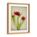 Flores De Pergamino I - Judy Stalus | Cuadro decorativo de Canvas Lab