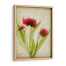 Flores De Pergamino I - Judy Stalus | Cuadro decorativo de Canvas Lab