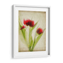 Flores De Pergamino I - Judy Stalus | Cuadro decorativo de Canvas Lab