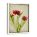 Flores De Pergamino I - Judy Stalus | Cuadro decorativo de Canvas Lab