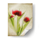 Flores De Pergamino I - Judy Stalus | Cuadro decorativo de Canvas Lab