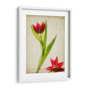 Flores De Pergamino Ii - Judy Stalus | Cuadro decorativo de Canvas Lab