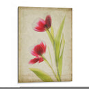 Flores De Pergamino Iii - Judy Stalus | Cuadro decorativo de Canvas Lab