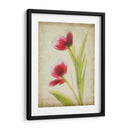 Flores De Pergamino Iii - Judy Stalus | Cuadro decorativo de Canvas Lab