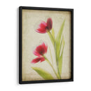 Flores De Pergamino Iii - Judy Stalus | Cuadro decorativo de Canvas Lab