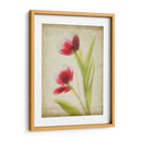 Flores De Pergamino Iii - Judy Stalus | Cuadro decorativo de Canvas Lab