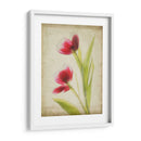 Flores De Pergamino Iii - Judy Stalus | Cuadro decorativo de Canvas Lab