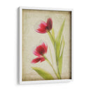 Flores De Pergamino Iii - Judy Stalus | Cuadro decorativo de Canvas Lab